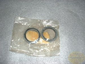 Simmerring Gabel 38 Marzocchi (Satz)