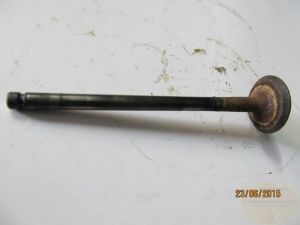 Auslaßventil V65 Lario            24mm   gebraucht