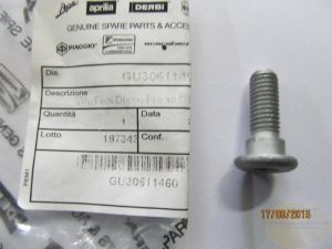 Schraube Bremsscheibe hinten 1100 Sport