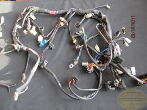 Kabelbaum kplt Nevada i.E. gebraucht