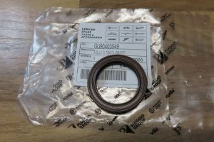 Simmerring Endantrieb kl. Mod./Getr. gr.Mod Ausgang FPM