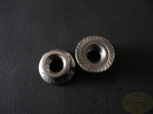 800163081' , 'VA Mutter M8 mit Flansch + Rippen